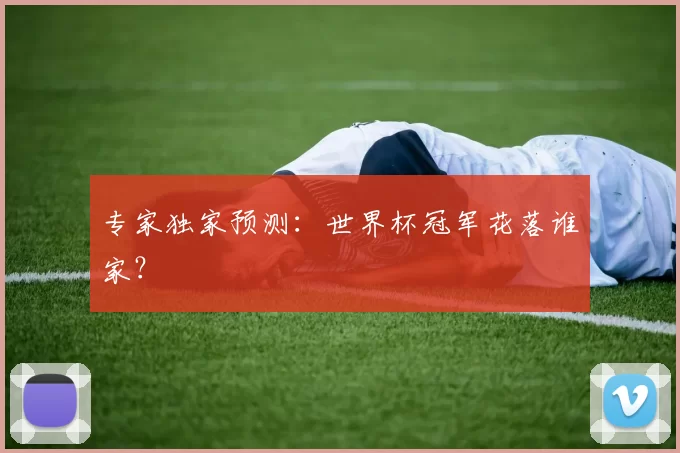 专家独家预测:世界杯冠军花落谁家?