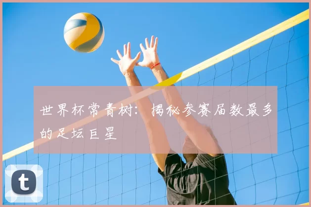 世界杯常青树:揭秘参赛届数最多的足坛巨星