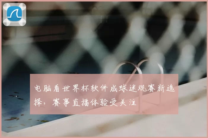 电脑看世界杯软件成球迷观赛新选择,赛事直播体验受关注