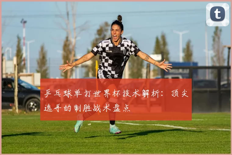 乒乓球单打世界杯技术解析：顶尖选手的制胜战术盘点
