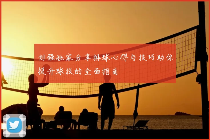 刘强独家分享排球心得与技巧助你提升球技的全面指南