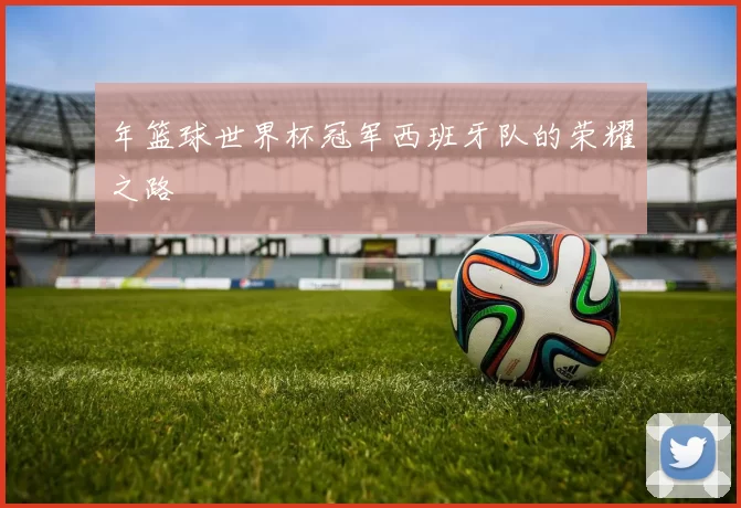 年篮球世界杯冠军西班牙队的荣耀之路