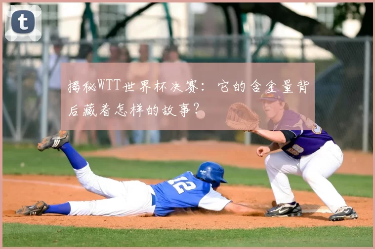 揭秘WTT世界杯决赛：它的含金量背后藏着怎样的故事？