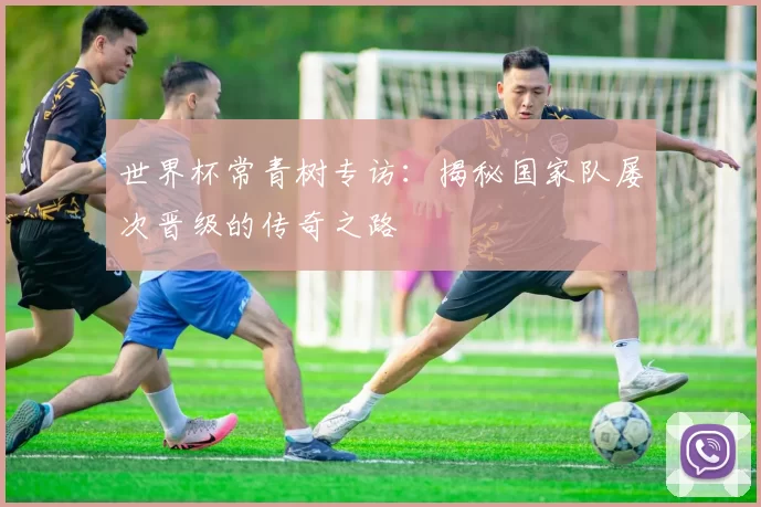 世界杯常青树专访:揭秘国家队屡次晋级的传奇之路